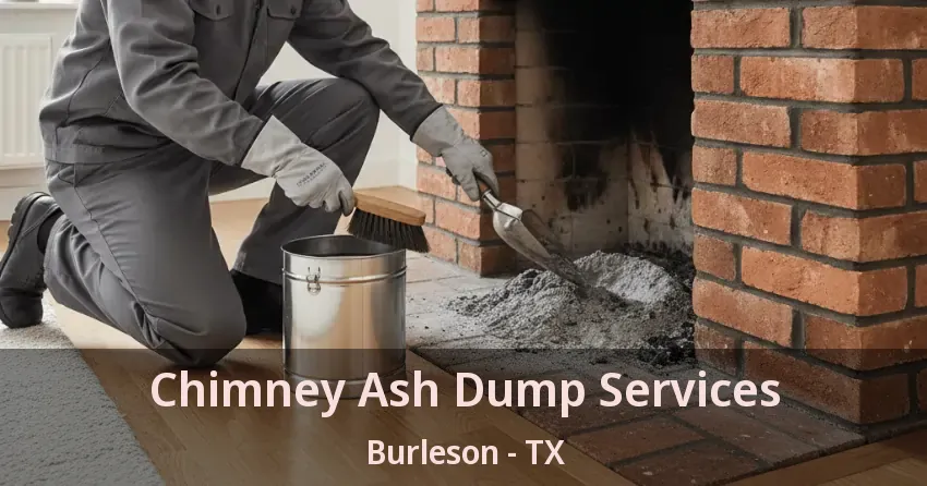 Chimney Ash Dump Services Burleson - TX