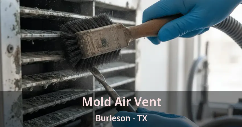 Mold Air Vent Burleson - TX Mold Air Vent Burleson - TX