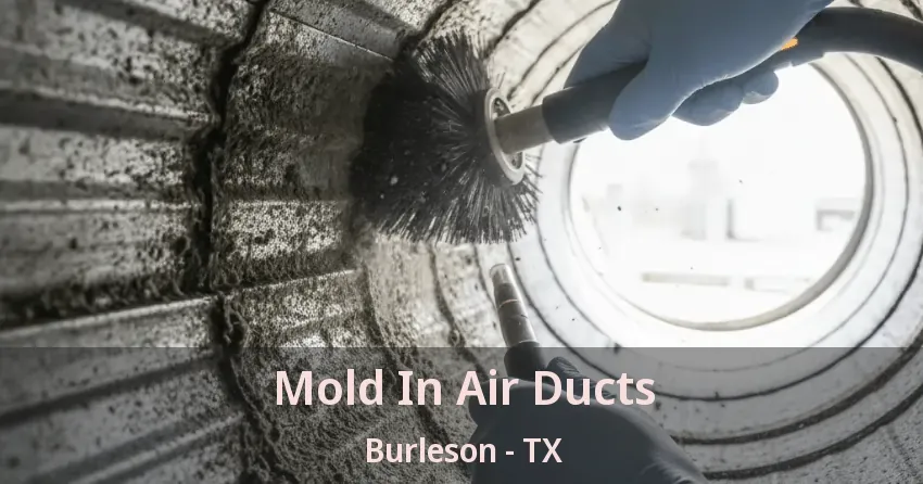 Mold In Air Ducts Burleson - TX