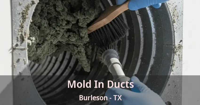 Mold In Ducts Burleson - TX