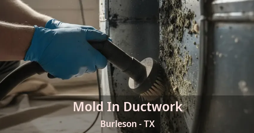 Mold In Ductwork Burleson - TX Mold In Ductwork Burleson - TX