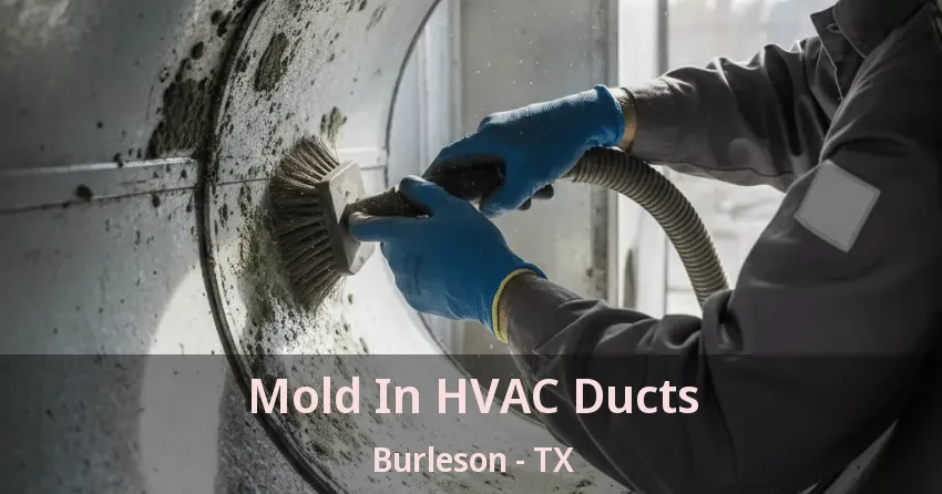 Mold In HVAC Ducts Burleson - TX