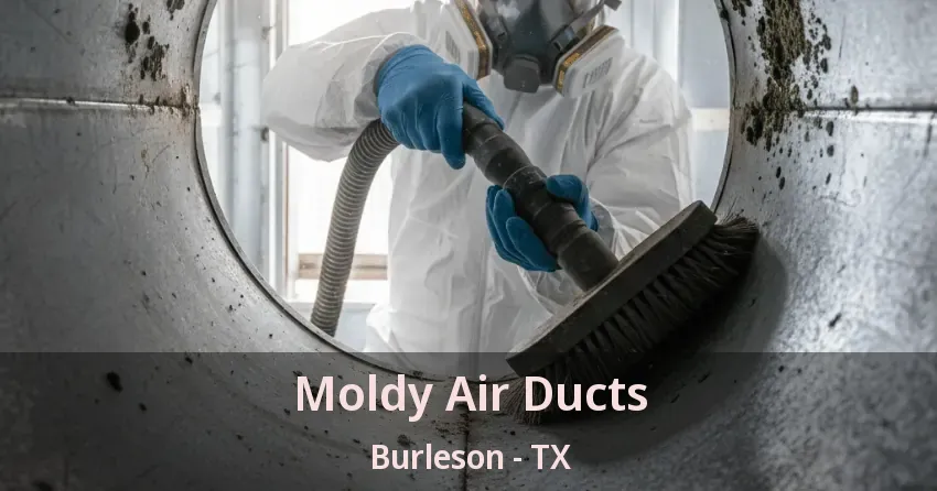 Moldy Air Ducts Burleson - TX